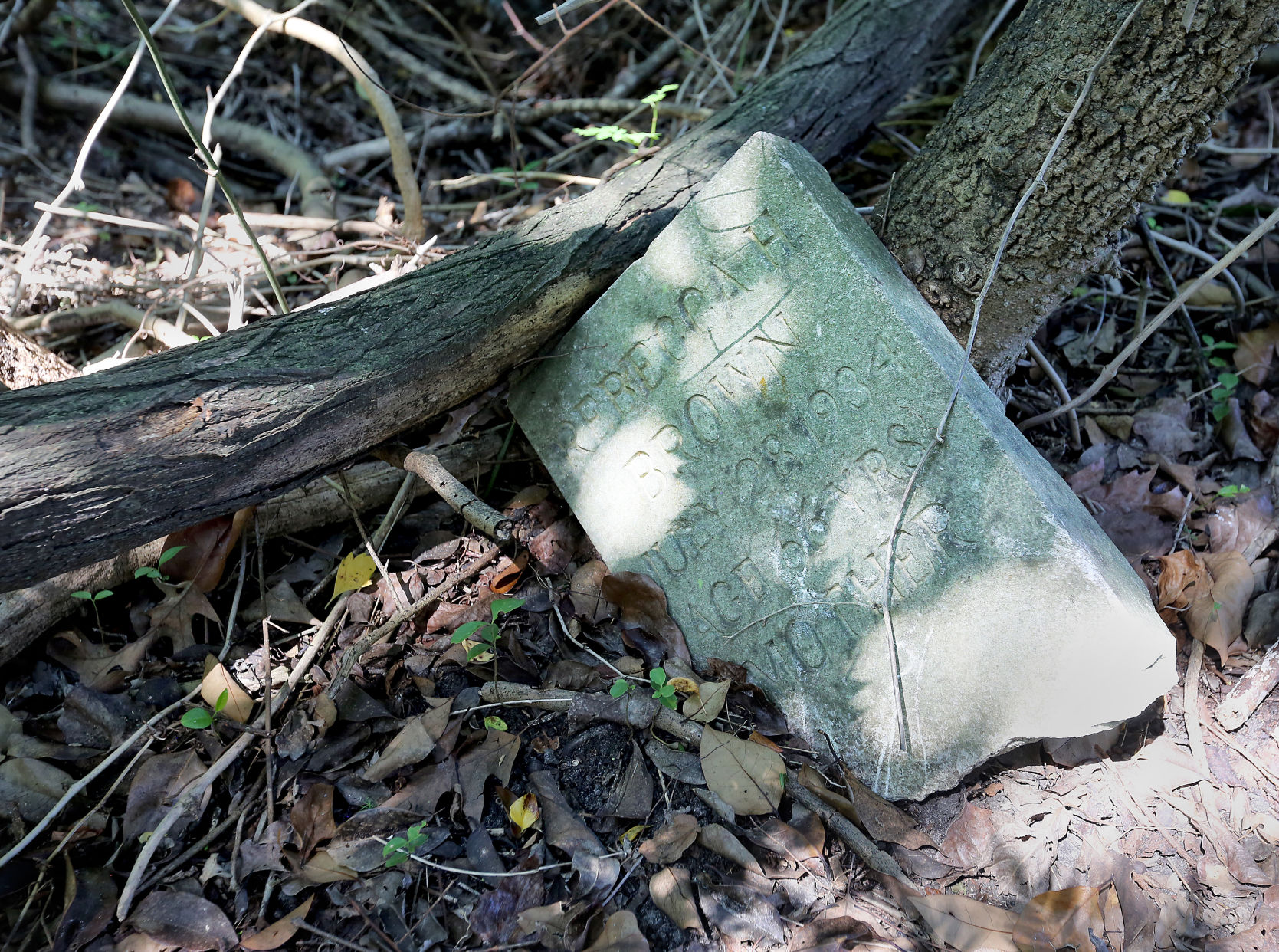 Exsposed Grave